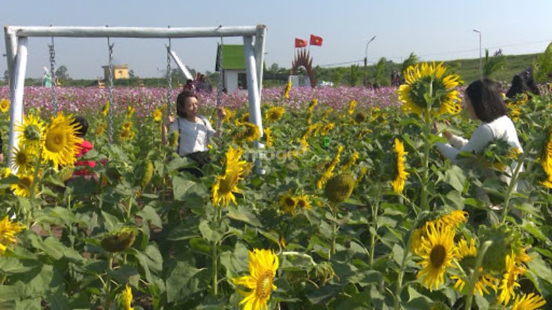 Ngã tư Gia Lễ ở đâu? Các tiện ích xung quanh và tiềm năng BĐS khu vực 5 Địa điểm vui chơi xung quanh Ngã tư Gia Lễ