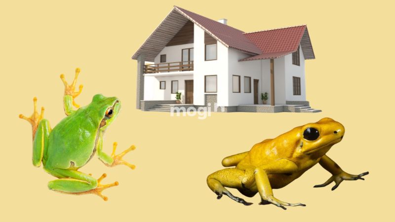 Dựa vào màu sắc, hoàn cảnh