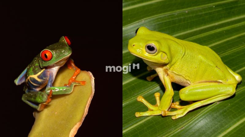 Dựa vào thời gian