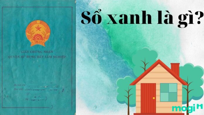 Sổ xanh là gì?