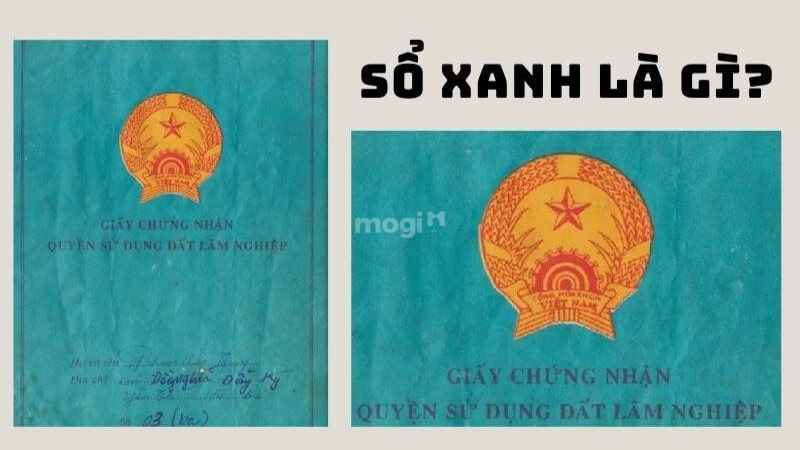 Sổ xanh là gì ? Đất sổ xanh có chuyển sang sổ đỏ được không? 2 Sổ xanh là gì?