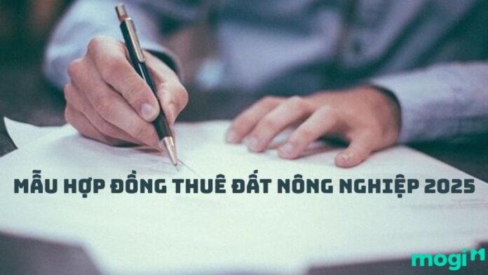 Mẫu hợp đồng thuê đất nông nghiệp chi tiết cập nhật mới nhất 2025