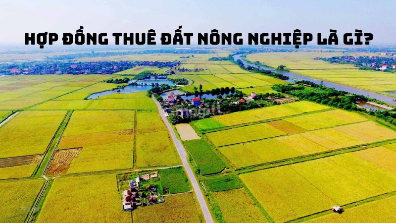 Mẫu hợp đồng thuê đất nông nghiệp chi tiết cập nhật mới nhất 2025 1 Hợp đồng thuê đất nông nghiệp là gì?