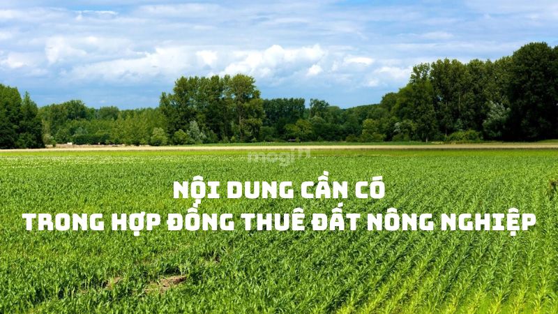 Mẫu hợp đồng thuê đất nông nghiệp chi tiết cập nhật mới nhất 2025 5 Những nội dung cần có trong mẫu hợp đồng thuê đất nông nghiệp