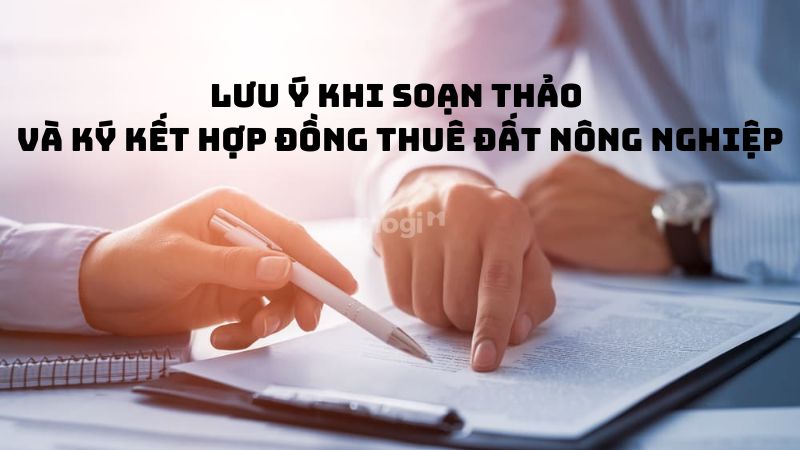 Mẫu hợp đồng thuê đất nông nghiệp chi tiết cập nhật mới nhất 2025 6 Những lưu ý khi soạn thảo và ký kết hợp đồng thuê đất nông nghiệp