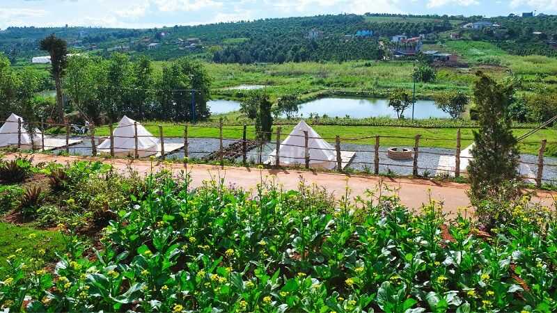 Dự án nhà vườn sinh thái