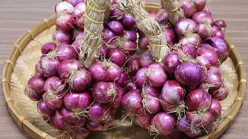 19 Cách diệt gián trong phòng trọ cực nhanh và hiệu quả 2025 10 Dùng băng dính và hành tím