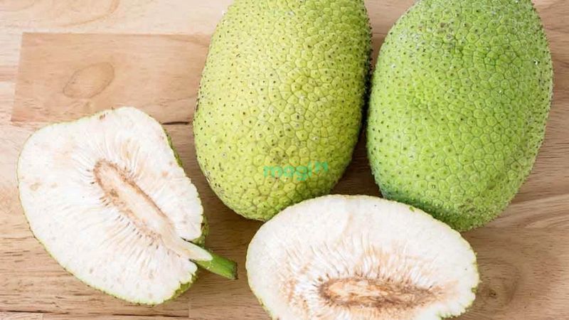 19 Cách diệt gián trong phòng trọ cực nhanh và hiệu quả 2025 12 Sử dụng quả sake