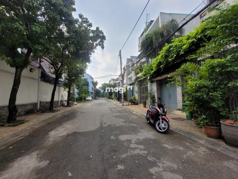 Thị trường mua bán nhà đường Linh Trung, Thủ Đức cập nhật T12/2025