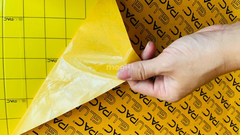 Rết Bò Vào Nhà Là Điềm Gì? Giải Mã Và Cách Phòng Tránh An Toàn 6 Cách xử lý để tránh rết bò lại vào nhà