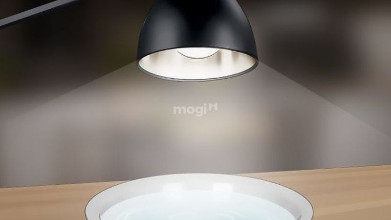 Con thiêu thân bay vào nhà: Điềm báo và cách xử lý 4 Dùng đèn