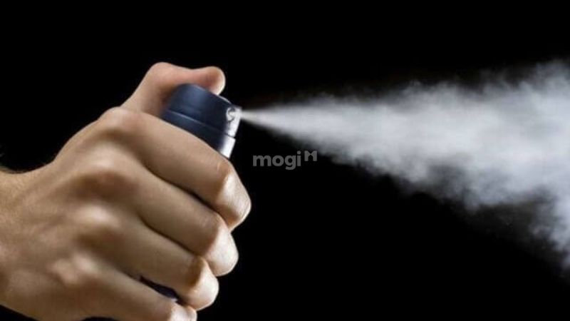 Con thiêu thân bay vào nhà: Điềm báo và cách xử lý 6 Dùng thuốc xịt côn trùng