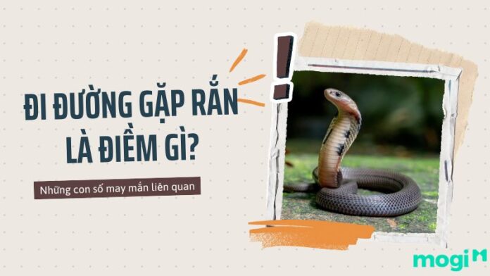 Đi đường gặp rắn là điềm gì?