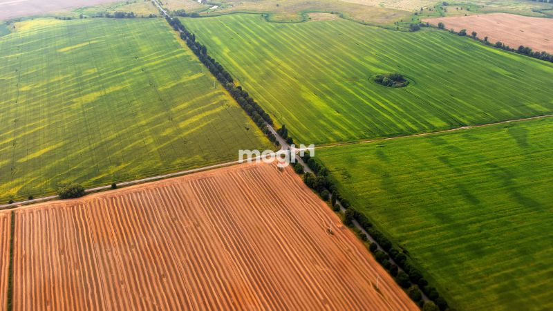 Quy định về quyền thừa kế đất đai không có di chúc