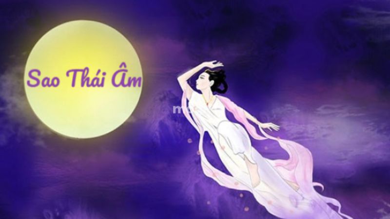 nam mạng Nhâm Tuất 1982 được sao Thái Âm chiếu mệnh