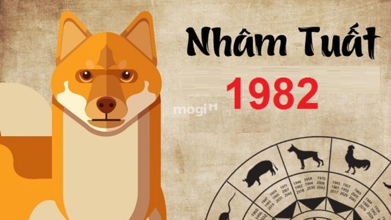 Lá số tử vi tuổi Nhâm Tuất 1982 nam mạng năm 2025