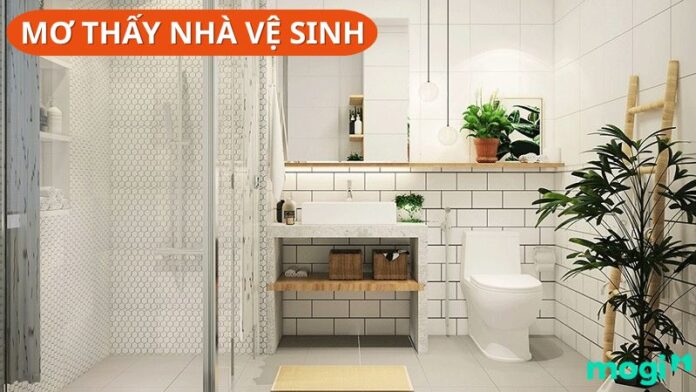 Mơ thấy nhà vệ sinh
