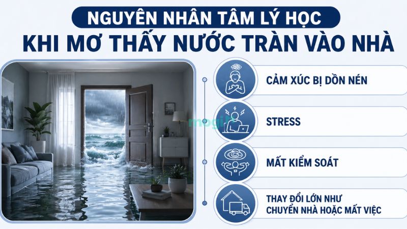 Mơ thấy nước tràn vào nhà là điềm gì? Giải mã phong thủy chi tiết 5 Nguyên nhân tâm lý học khi mơ thấy nước tràn vào nhà