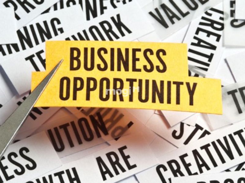 Cơ hội kinh doanh thuận lợi