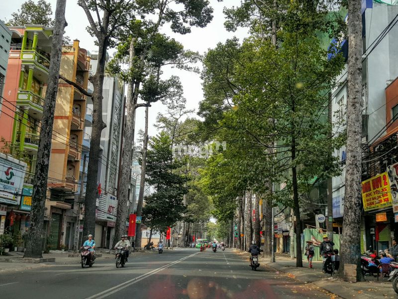 Tổng quan thị trường và giá bán nhà đường Nguyễn Tri Phương quận 10