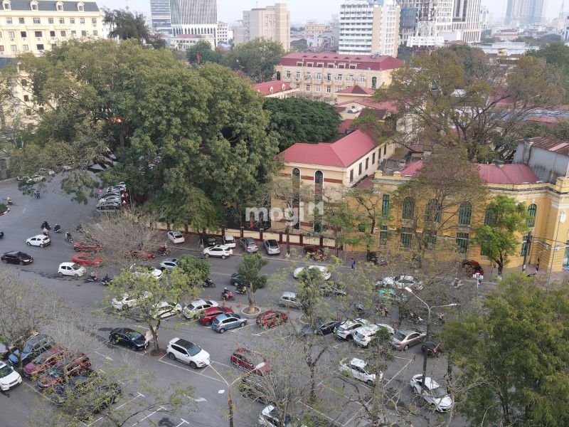 Nguyễn Tri Phương là một trong những tuyến đường huyết mạch tại quận 10