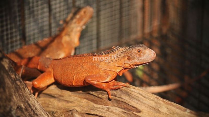 Nên làm gì để hóa giải vận xui (nếu có)