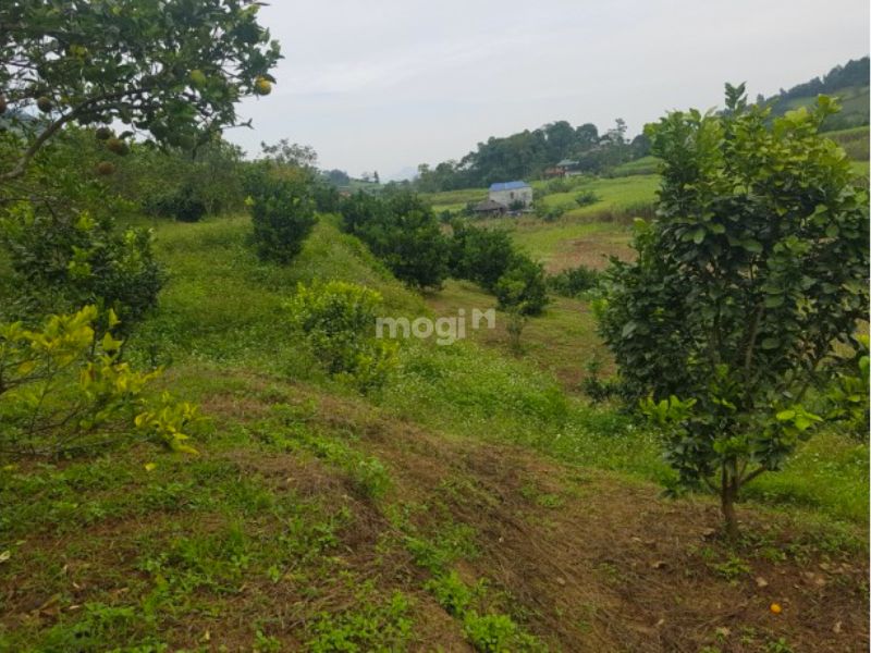 Kinh nghiệm mua bán đất Hòa Bình chính chủ