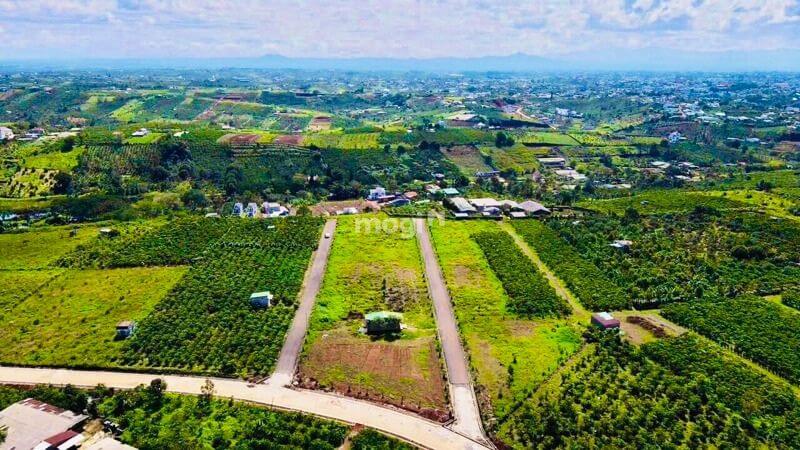 Cập nhật giá nhà đất Lâm Đồng sau sáp nhập theo Nghị quyết 60