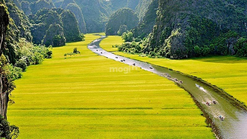 Cập nhật giá nhà đất Ninh Bình sau sáp nhập theo Nghị quyết 60