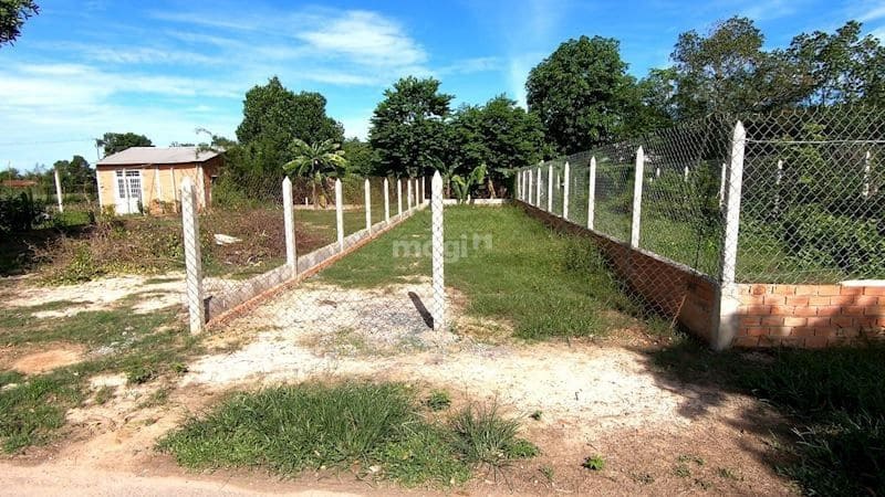 Giá nhà đất huyện Củ Chi sau sáp nhập cũng đang có xu hướng tăng nhẹ