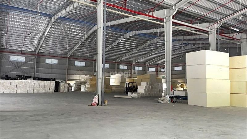 Hợp đồng cho thuê ràng: xác định quyền và nghĩa vụ của hai bên, kèm điều khoản về thanh lý hợp đồng và xử lý các tình huống phát sinh