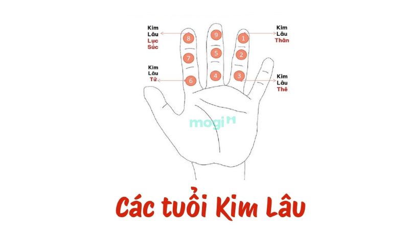 Tân Dậu 1981 phạm hạn Kim Lâu Thân năm 2026
