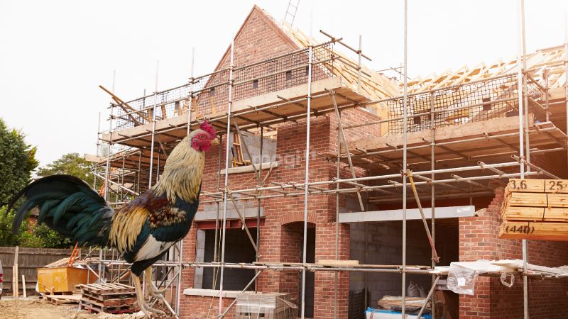 Tuổi Tân Dậu 1981 xây nhà năm nào tốt cho phong thủy?