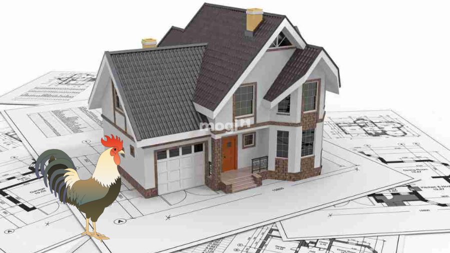 Tuổi Quý Dậu 1993 xây nhà năm 2026 có tốt không? 4 Các tháng hợp tuổi mệnh người 1993 khi xây nhà