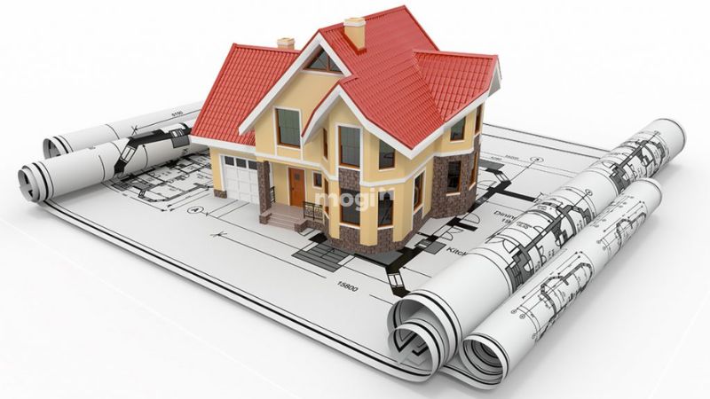 Kiêng trồng cây to hoặc cây chết trước nhà