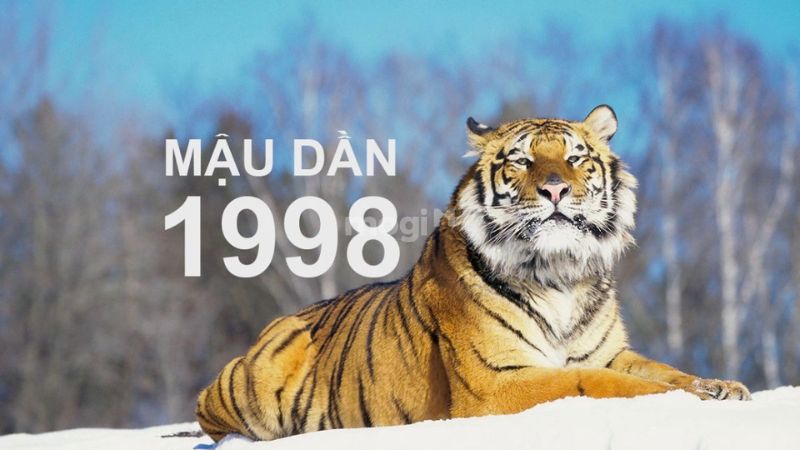 Sơ lược về người sinh năm 1998