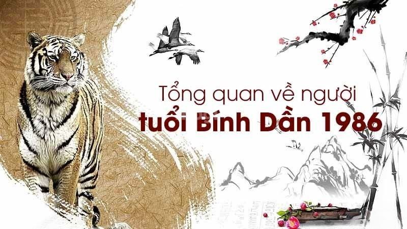 Sơ lược về người tuổi Bính Dần 1986