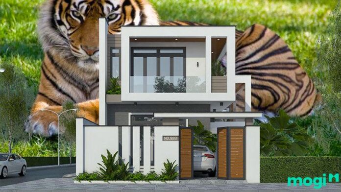 Tuổi Bính Dần 1986 xây nhà năm 2026 được không? Tốt hay xấu?