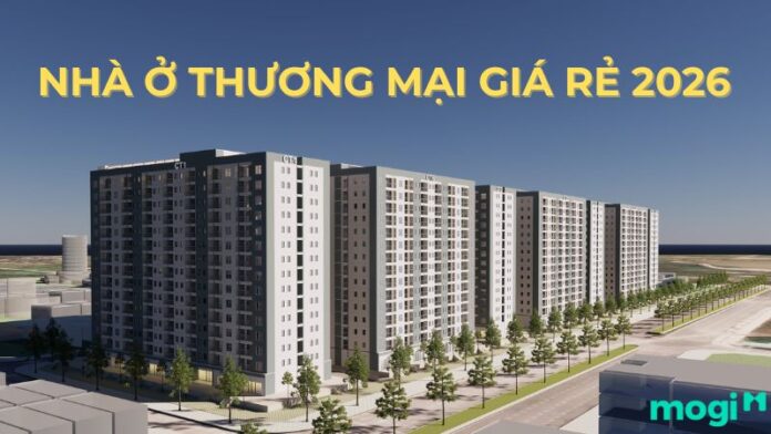 Nhà ở thương mại giá rẻ 2026