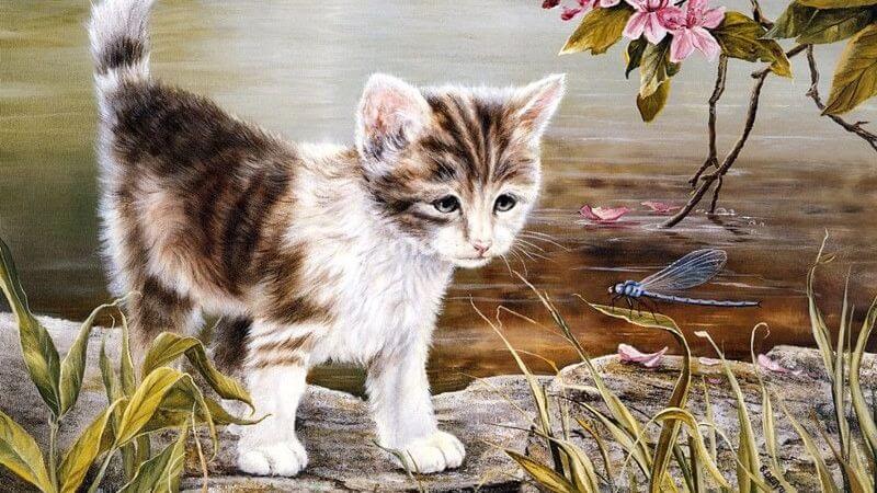 Tuổi 1987 phạm hạn Tam Tai không?