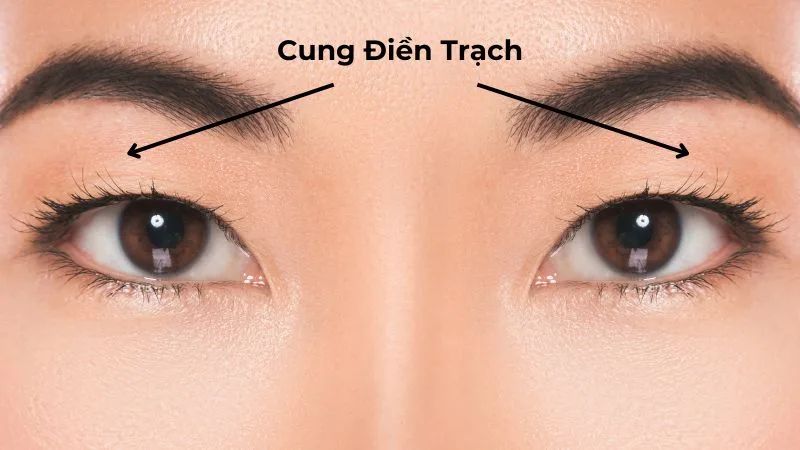 Cung điền trạch 2026: Tuổi nào khai thông, mua đất mua nhà? 1 Xem Cung Điền Trạch là bước quan trọng trước khi quyết định mua nhà.