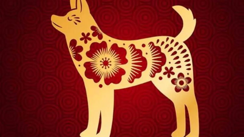 Cung điền trạch 2026: Tuổi nào khai thông, mua đất mua nhà? 4 Tuổi Tuất: Vận đỏ trúng đất đẹp, đổi đời nhờ tài sản cố định.