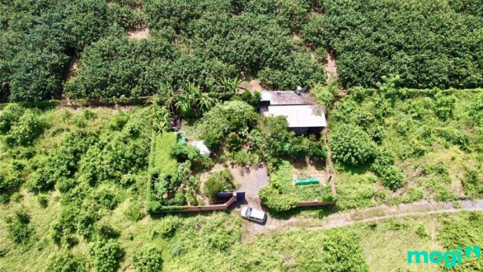 Cho phép xây dựng công trình trên đất nông nghiệp: Quy định cụ thể