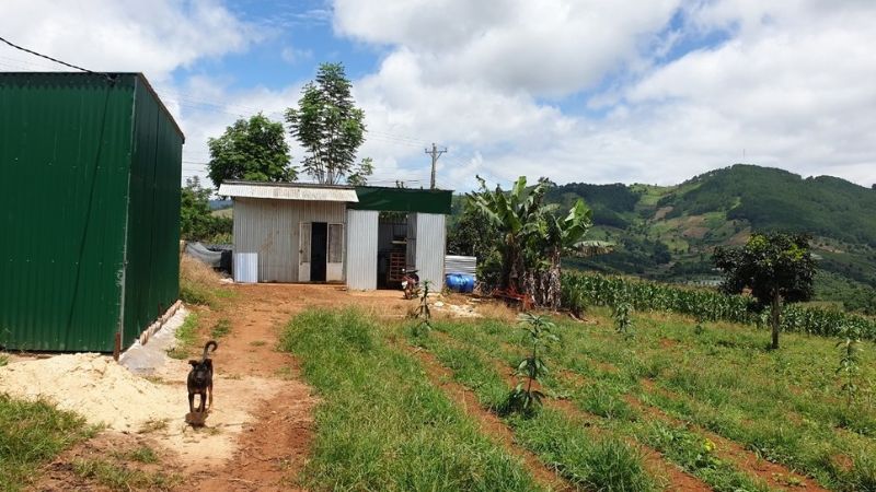 Người dân được xây dựng công trình nhà kho trên đất nông nghiệp (Nguồn: BPL)