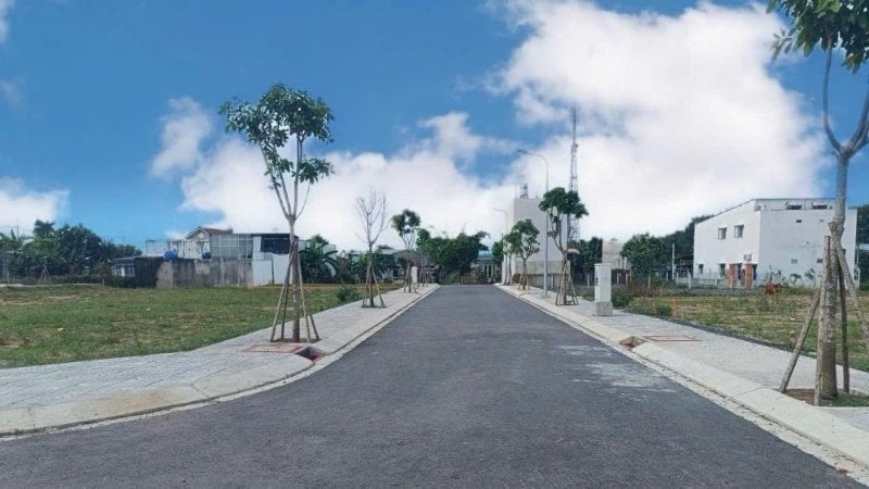 Bất động sản Vũng Tàu 2026: Giá bán và xu hướng đầu tư 2 Thị trường đất nền và nhà phố Vũng Tàu