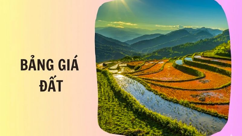 Bảng giá đất Ninh Bình 2026 sẽ đóng vai trò quan trọng trong việc xác định nghĩa vụ tài chính liên quan đến đất đai