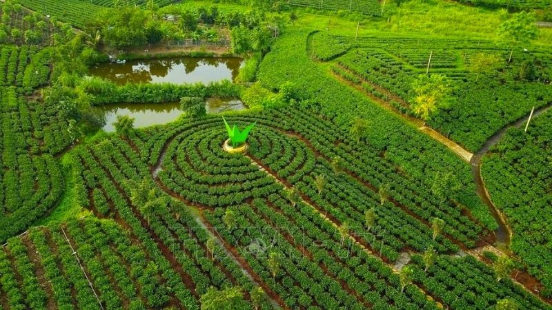 Thực trạng giá giao dịch so với bảng giá Nhà nước