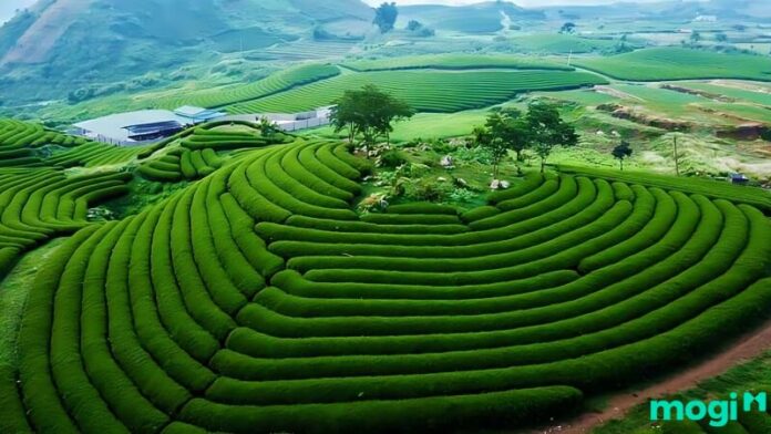 Bảng giá đất Sơn La 2026 (dự kiến): Cập nhật mới nhất theo Luật Đất đai 2024