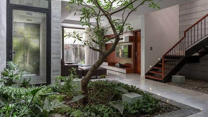 Nhà có cây xanh mang lại cảm giác mát mẻ, tươi mới