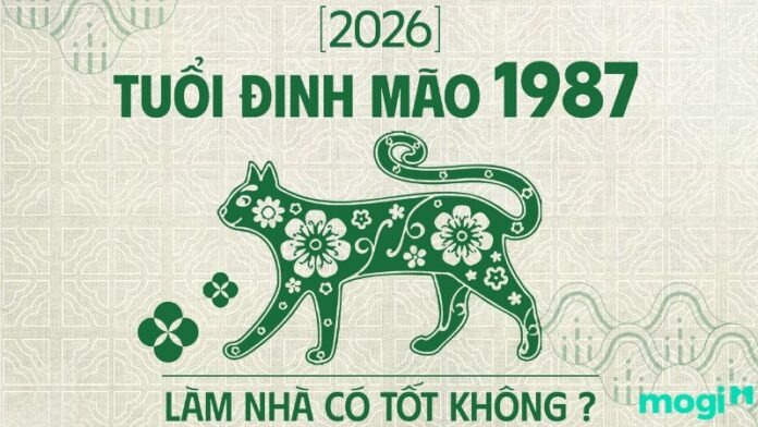 Tuổi 1987 làm nhà năm 2026